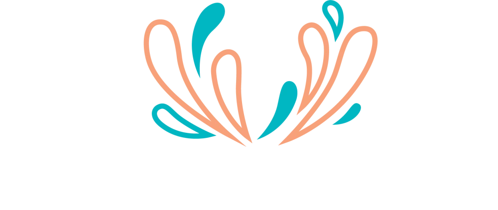 CannonballLogo